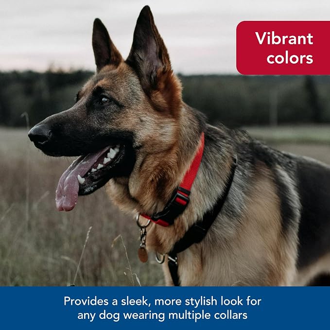 Coastal Pet SecureAway Collar Protector - Image 6