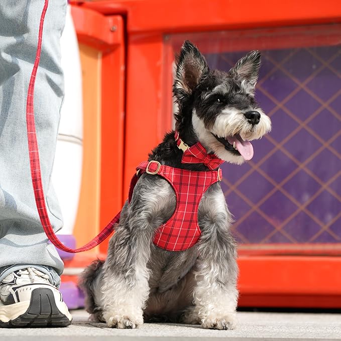 Beirui Cute Small Dog Harness Collar and Leash Set - Image 4
