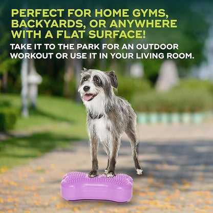 FitPAWS® K9FITbone® - Image 4