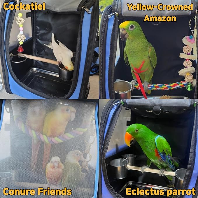 Birds Day Bird Carrier Backpack-Parrot Travel Cage - Image 7
