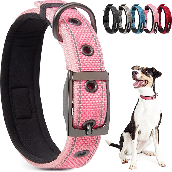PetiFine Dog Collars for Small Dogs, Neoprene Padded Dog Collar, Reflective by PetiFine