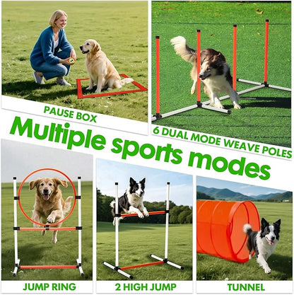 Dog Agility Course Backyard Set, Dog Agility Equipment, Pet obstacle Course - Image 5