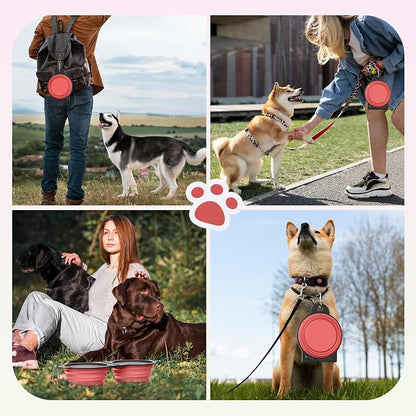 Pawaboo 2-in-1 Collapsible Dog Bowls, Dual Puppy Food and Water Bowls, 180° - Image 7