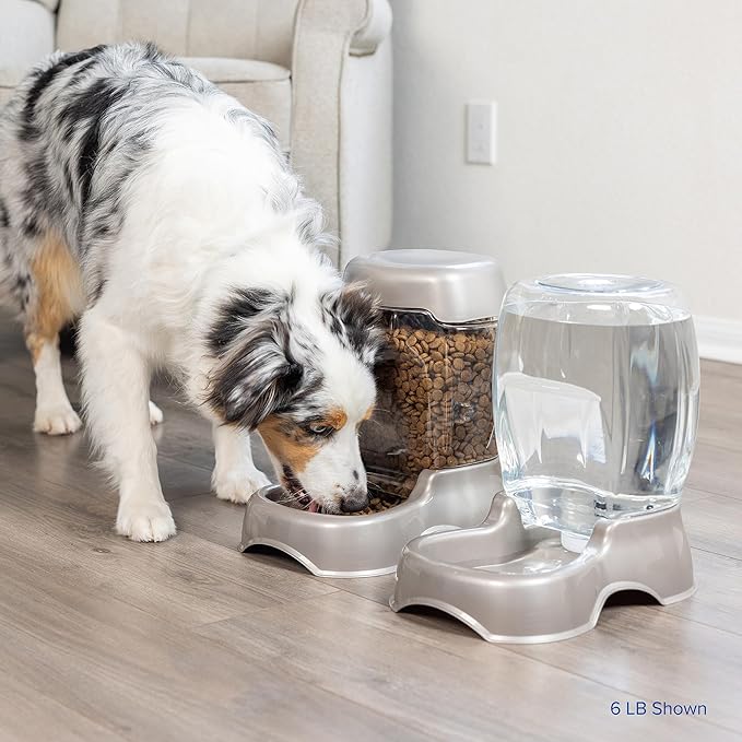 Petmate Pet Cafe Feeder Dog and Cat Feeder Pearlescent Colors 3 Sizes, Made in - Image 7