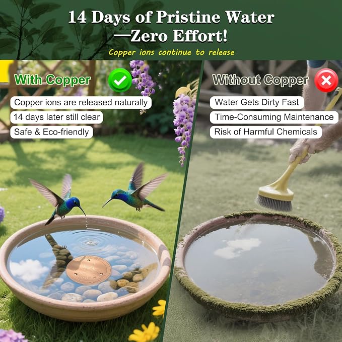 TIANCENTRAL H Bird Bath Copper Disk 2PCS-99.99% Pure Copper Cleaning Disk - Image 4