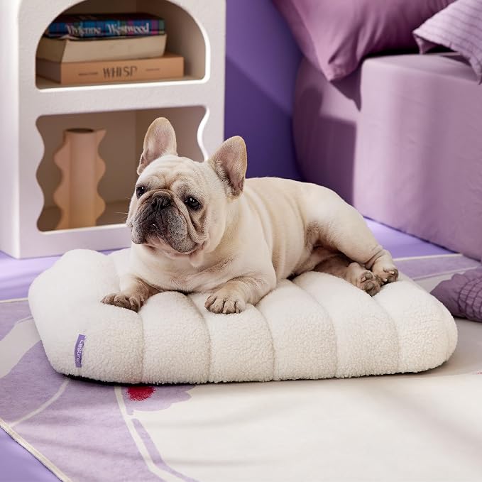LE SURE Cute Orthopedic Dog Bed - Image 2