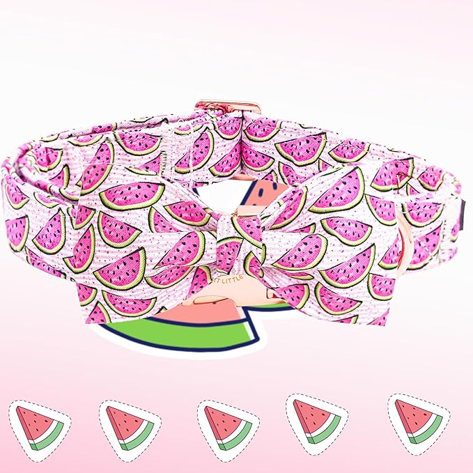 Elegant little tail Dog Collar, Watermelon Print Pet Collar Summer Dog Collar - Image 4