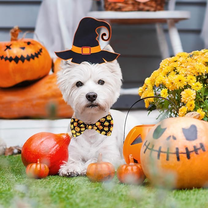 Halloween Dog Bow Tie Collar, Holiday Skull Pumpkin Collar - Image 3