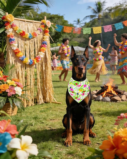 PET SHOW 50 Pack Hawaiian Dog Bandanas Bulk - Image 8