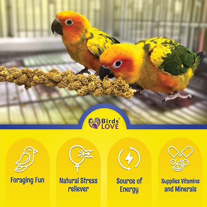Birds LOVE Economy Special Spray Millet | GMO-Free - Image 4