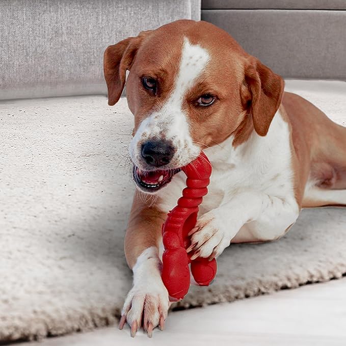 Nylabone Lobster Power Chew Toy - Image 14