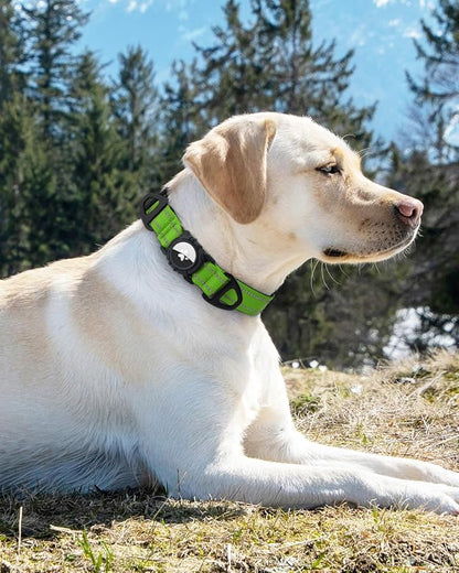 Joytale Airtag Dog Collar, Reflective Pet Collar - Image 8