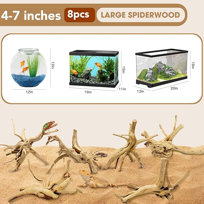Jorewood Natural Small Spiderwood Driftwood - Image 2