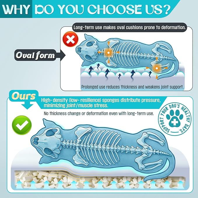 Waterproof Memory Foam Dog Beds - Image 2