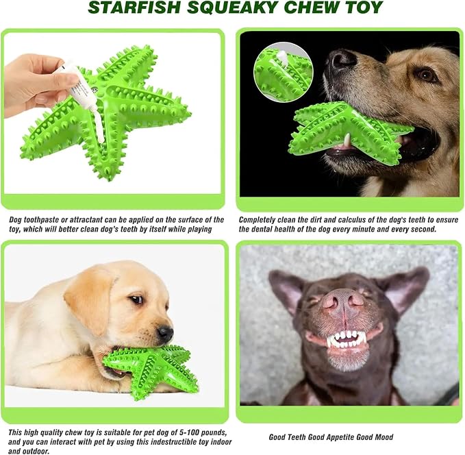 Chew Toy for Dog Toothbrush Stick Dog Toys for Aggressive Chewers Interactive - Image 7