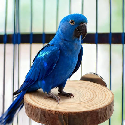 Wood Bird Perch Stand for Cage, Natural Round Wooden Parrot Platform Bird Perch - Image 7