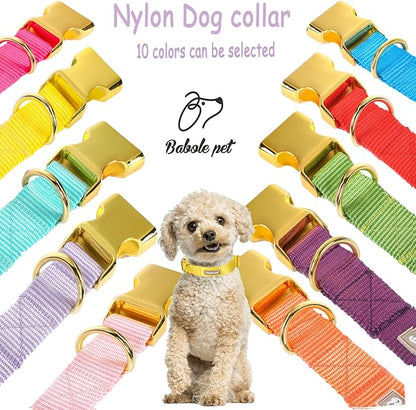 Nylon Dog Collar - Image 7