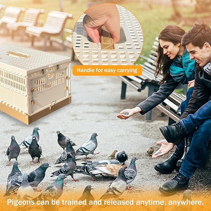 Folding Pigeon Cage Racing Pigeons Travel Cage Pairing Cage Plastic Three Doors - Image 6