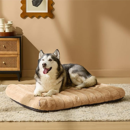 LE SURE Cute Orthopedic Dog Bed - Image 2