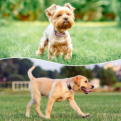 Reflective Dog Collar Padded - Image 2
