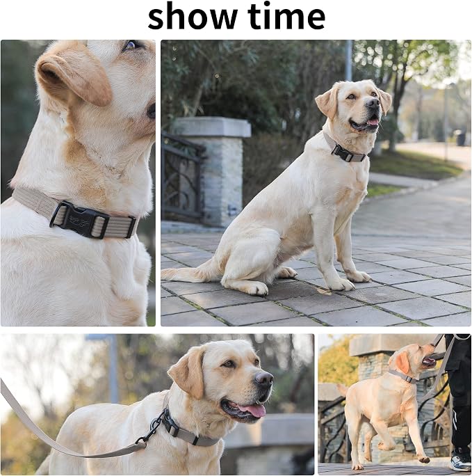 lynxking Dog Collar Soft Padded Breathable Cotton Solid Color Strong Adjustable - Image 6