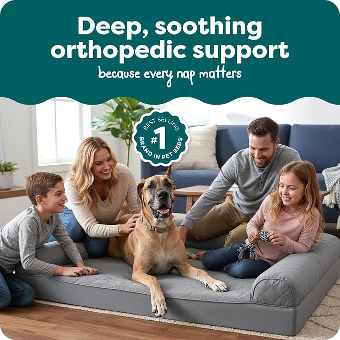 FurHaven Classic Sofa Orthopedic Dog Bed - Image 2