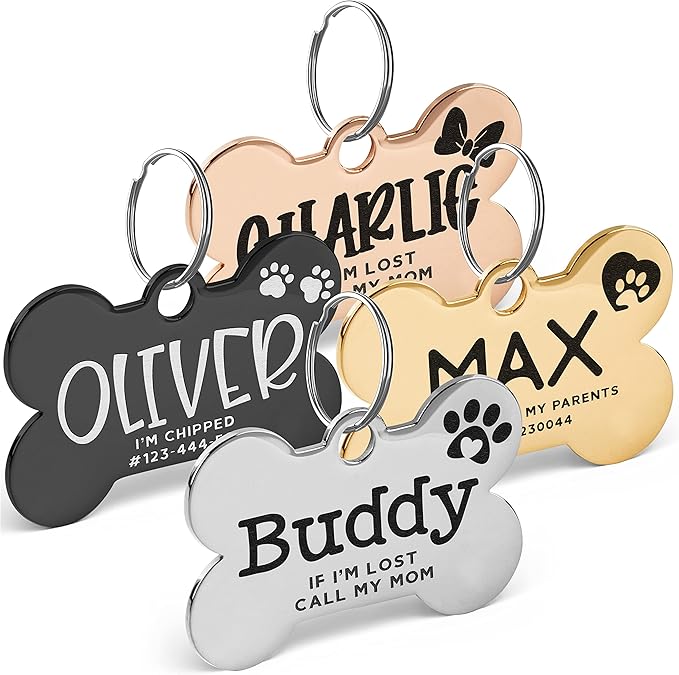 Stainless Steel Engraved Pet ID Tags by PersonalizationLab