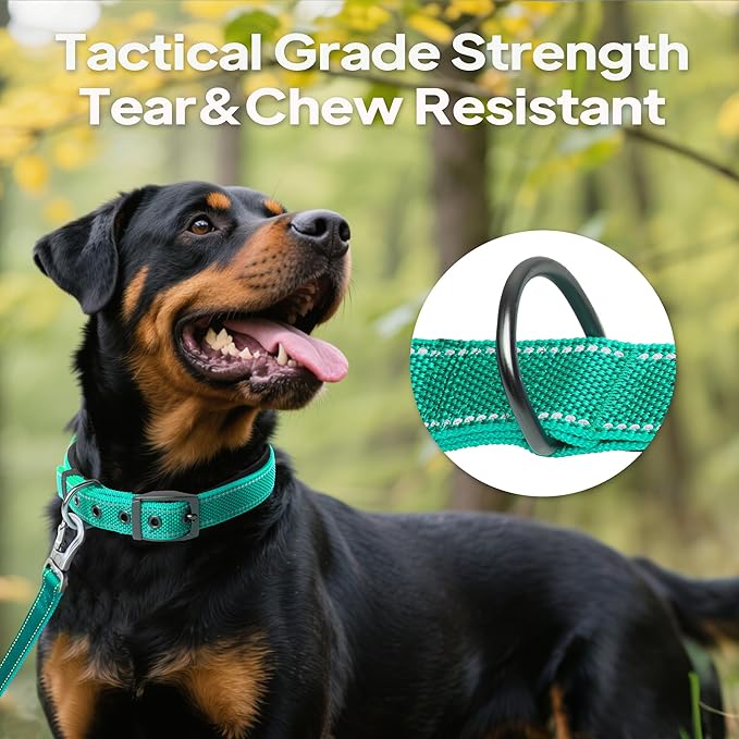 PetiFine Dog Collars for Medium Dogs, Neoprene Padded and Adjustable, - Image 6