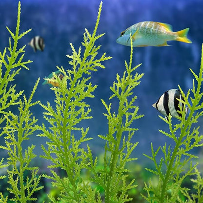 Fish Tank Accessories Large Plants, Aquarium Decor Plastic Plants 3pcs - Image 7