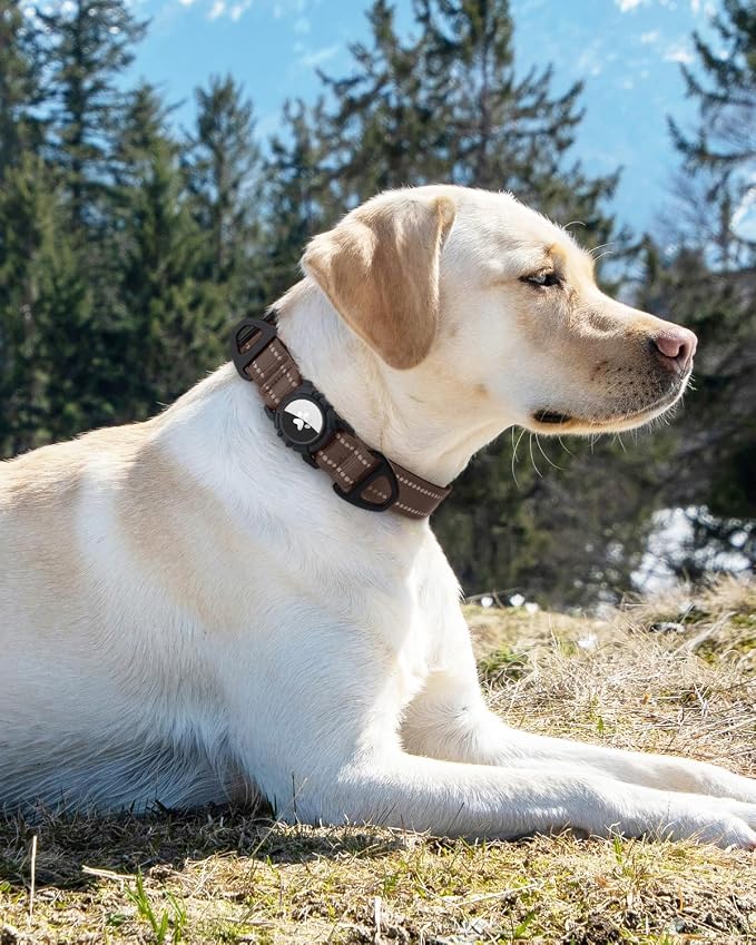 Joytale Airtag Dog Collar, Reflective Pet Collar - Image 8
