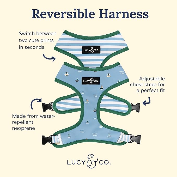 Lucy & Co. Set Sail Reversible Harness, Walking Halter - Image 2