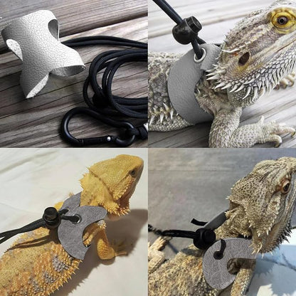 Bearded Dragon Travel Backpack - Image 9
