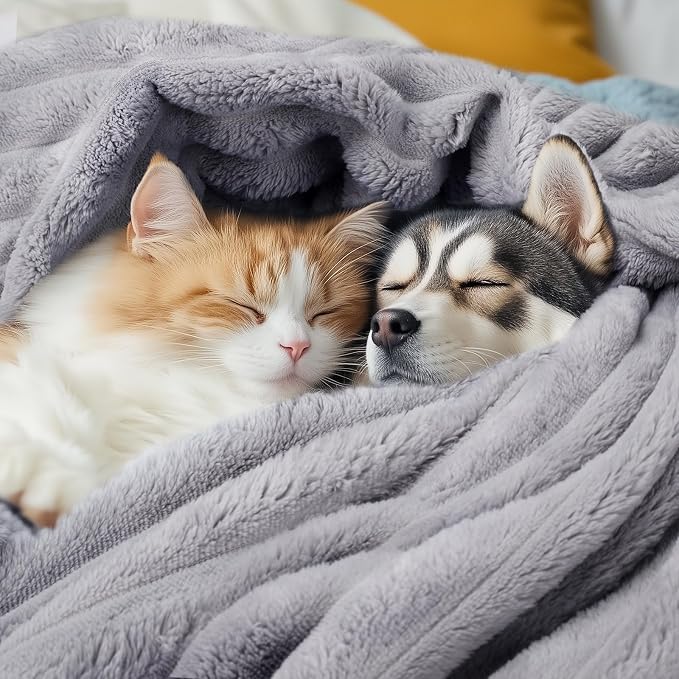LINENLUX 1 Pack 3 Soft Fleece Dog Blanket - Image 3