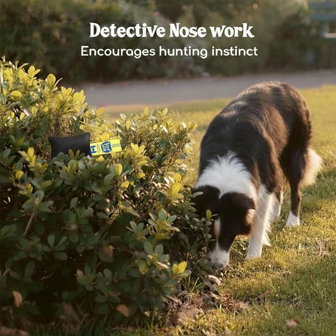 Race&Herd Original Dog Scent Training Kit, Scent Work Training Kit - Image 5