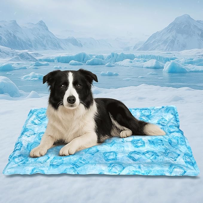 Cooling Pad for Large Dog, Instant Pet Cool Mat, Comfortable Cool Pet Mat for by pastard