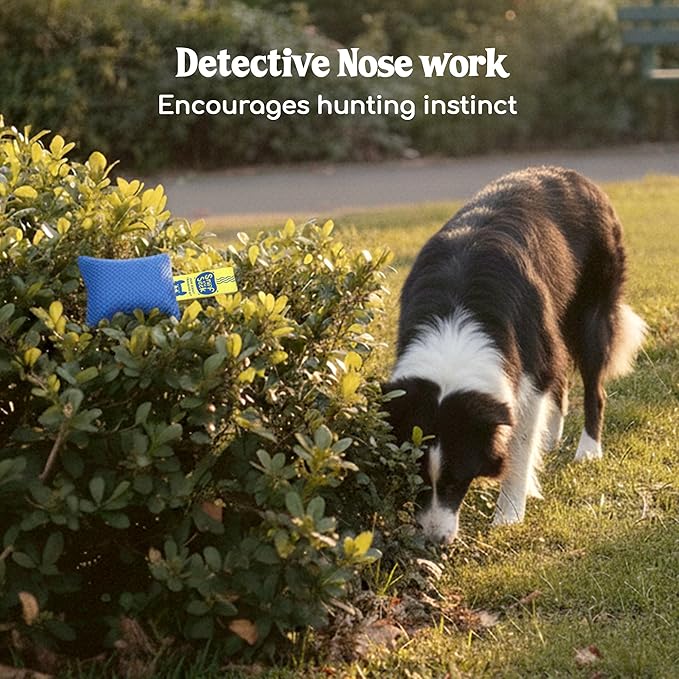 Race&Herd Original Dog Scent Training Kit, Scent Work Training Kit - Image 5