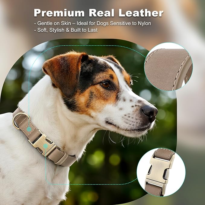 Plutus Pet Genuine Leather Dog Collar – Adjustable Pet Collar - Image 3
