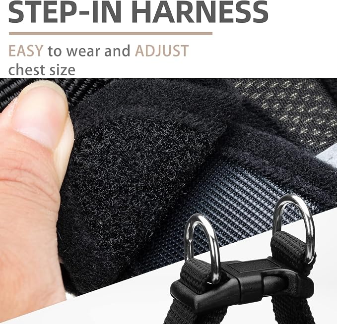 PUPTECK Adjustable Dog Harness Collar and Leash Set Step in No Pull Pet Harness - Image 3