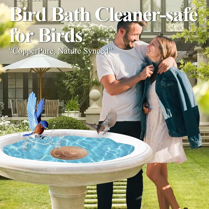 Copper Bird Bath Disks, 4.2" Large Surface, Year-Round Water Cleanliness - Image 6