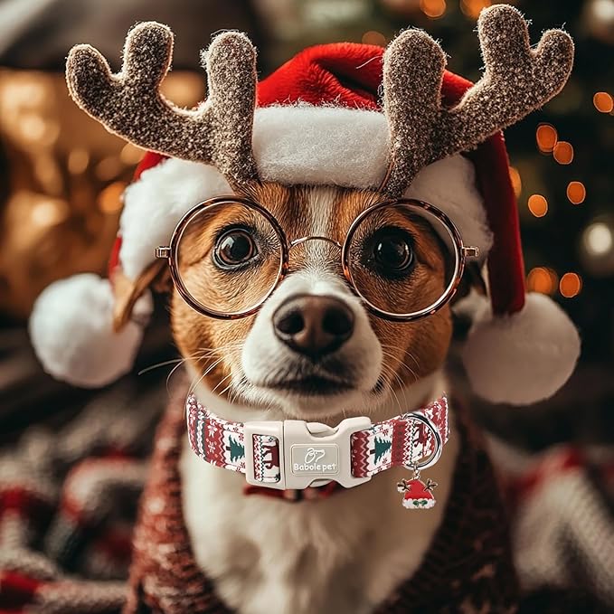 Christmas Dog Collar for Giant Large Dogs - Image 6