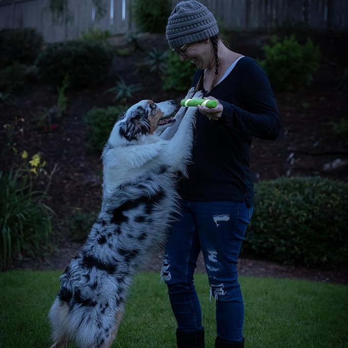 Chuckit! Max Glow Ultra Fetch Stick Outdoor Dog Toy, 12 Inches - Image 7