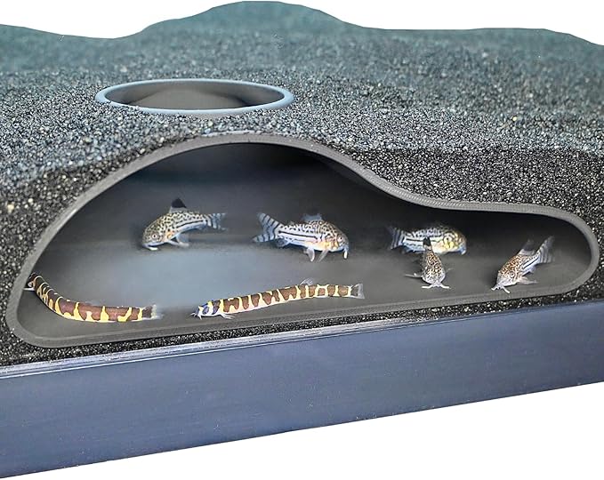 Aquarium Underground Tunnel Cave Natural Curve | Viewing Fish & Shrimp Under by LuckyCritterCo