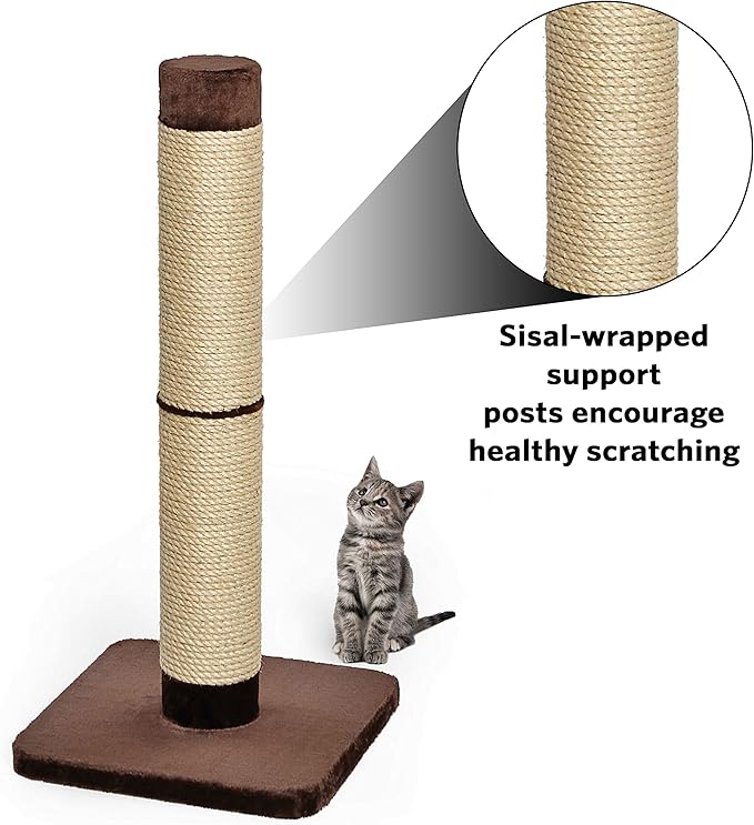 MidWest Homes for Pets Feline Nuvo Grand Forte Scratching Post, 41 Inches Tall - Image 3