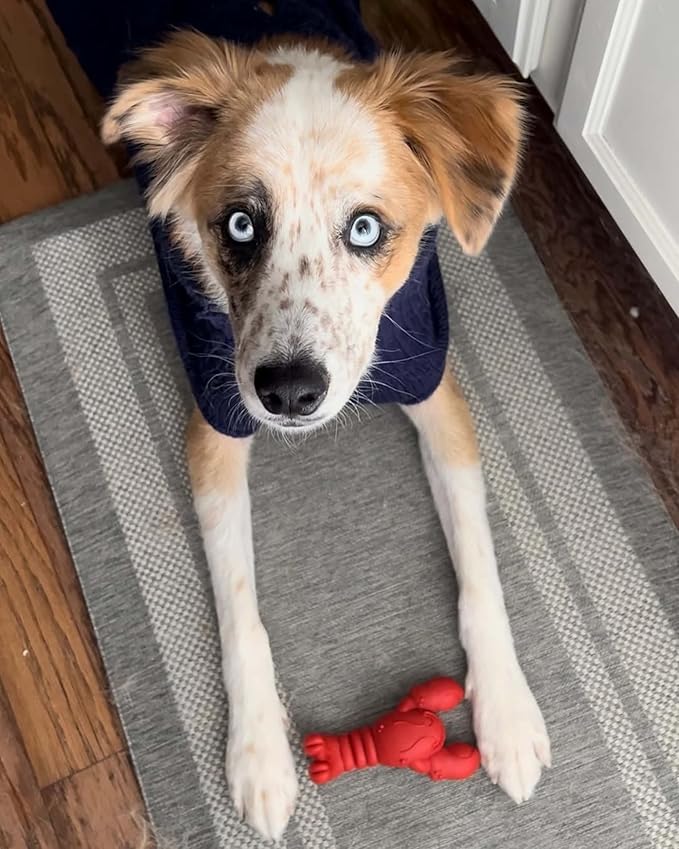 Nylabone Lobster Power Chew Toy - Image 8