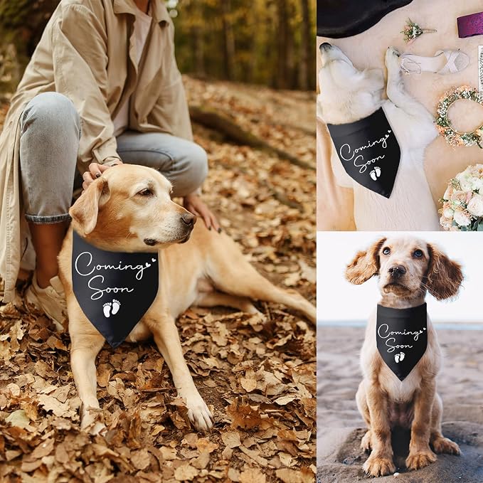 Baby Coming Soon Announcement Dog Bandana Gender Reveal Baby Announcement Pet - Image 6