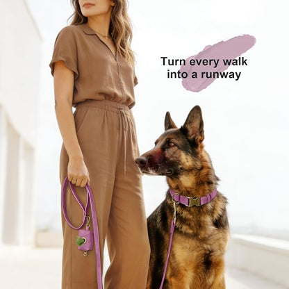 Didog Soft PU Leather Dog Collar, Stylish Quick Released Dog Collars - Image 4