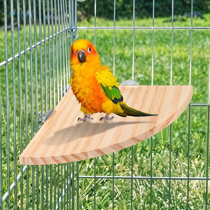 Bird Perch Platform Stand Wooden Parrot Perch Corner 5.9 Inches Fan Shape - Image 6