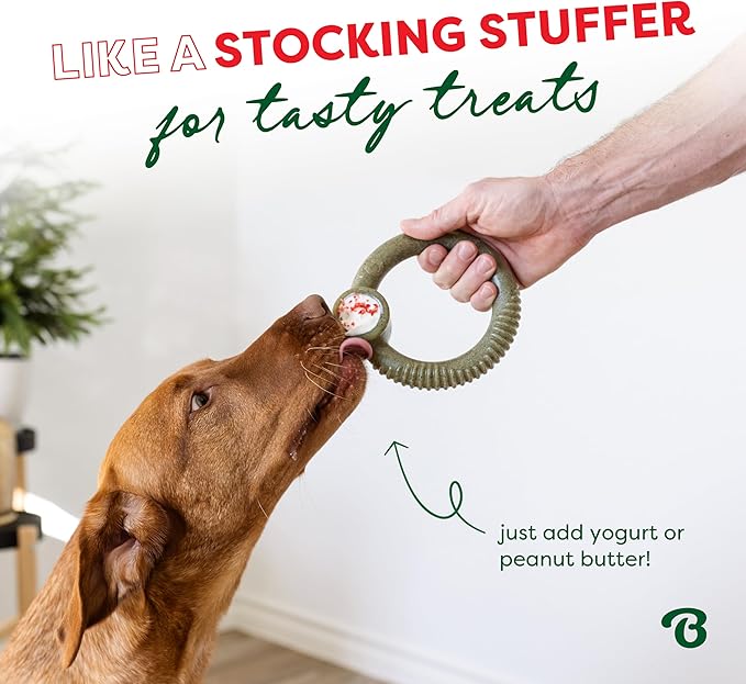 Benebone Peppermint Ring – Limited Edition Holiday Flavor, Durable Chew Toy - Image 3