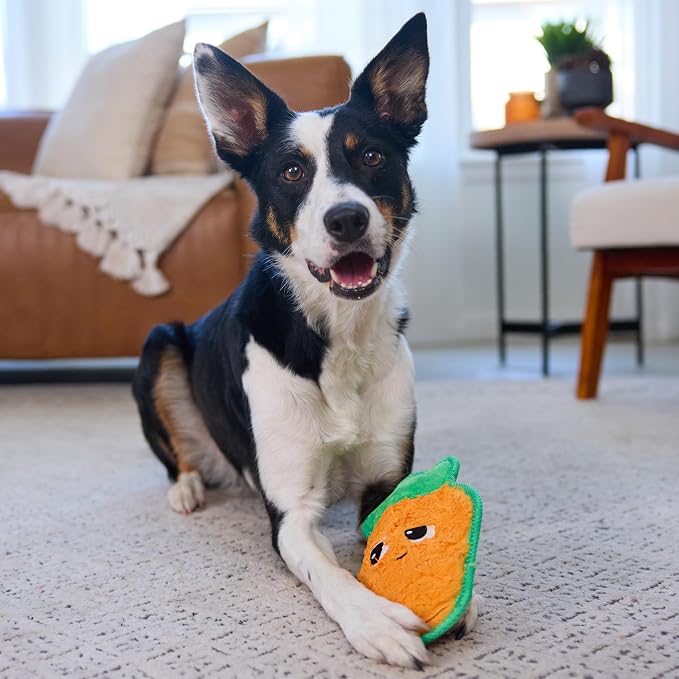Outward Hound Tough Skinz Durable Squeaky Dog Toy - Image 6