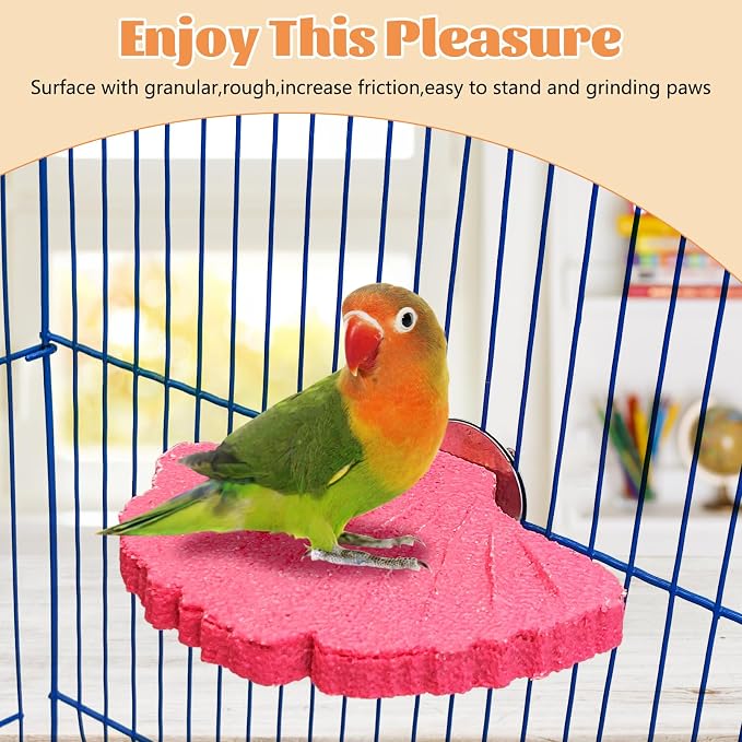 3 Pcs Parrot Perch Resin Bird Beak Grinding Stone Leaf Shape Perch Stand Foot - Image 7